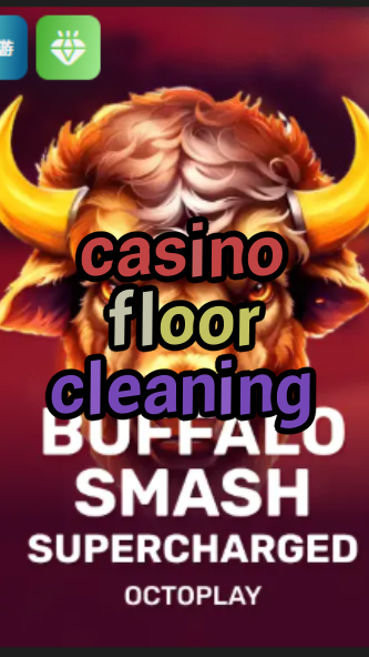 casino floor cleaning-w4cy2mdjlx2bf.com